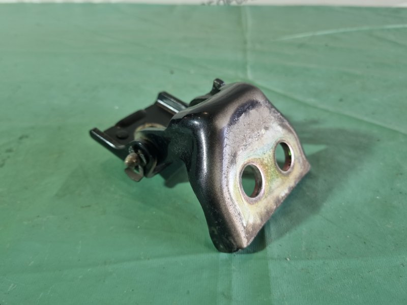 Петля двери Citroen C4 2005 хэтчбек 5 дв.