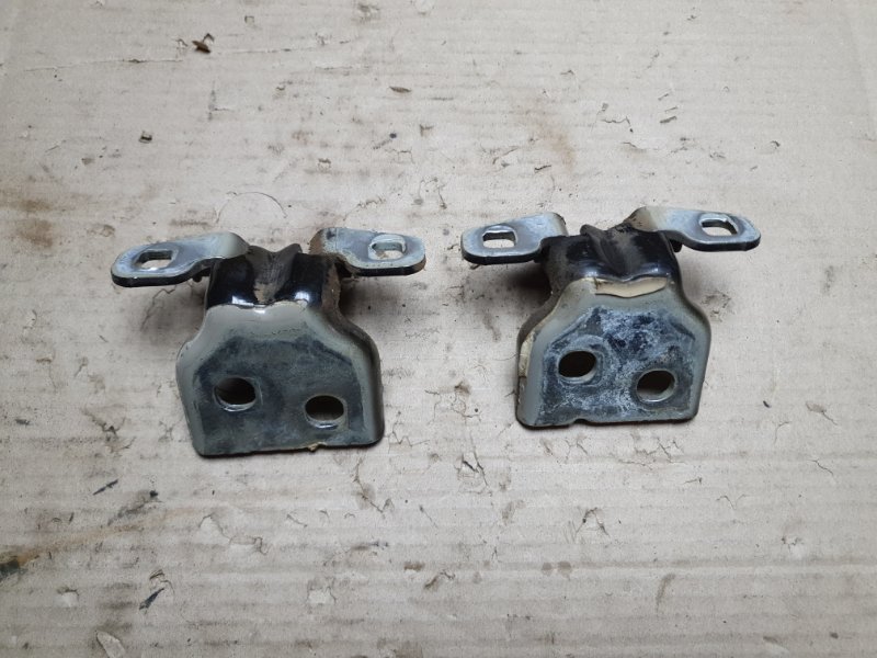 Петля двери Renault Duster 2010 2008 - 2012