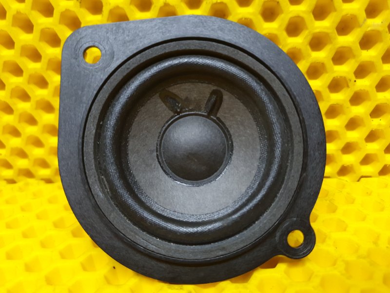 Динамик Renault Arkana 2020