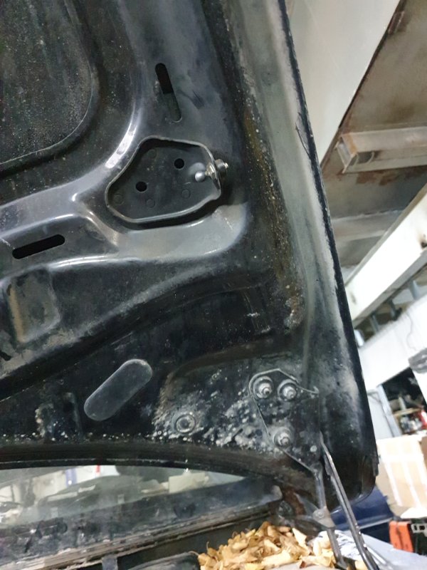 Капот Volkswagen Touareg 2008 7L6