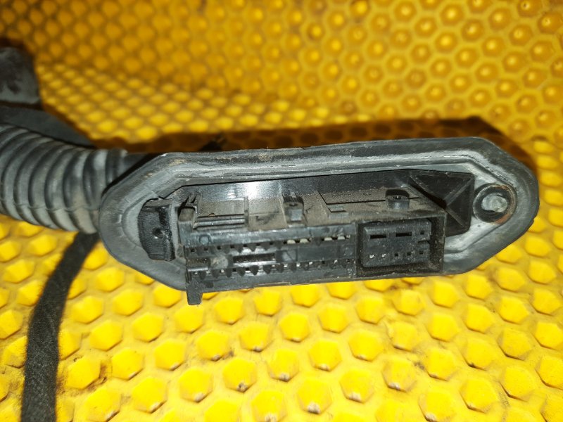 Проводка двери BMW X3 2004 E83