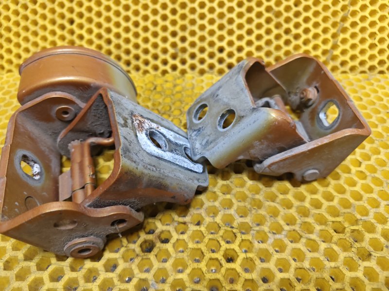 Петля двери Peugeot 207 2008 WC