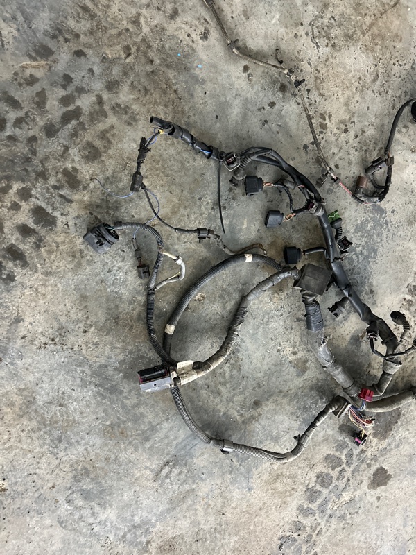 Проводка двигателя Volkswagen Touareg 2003 7L6