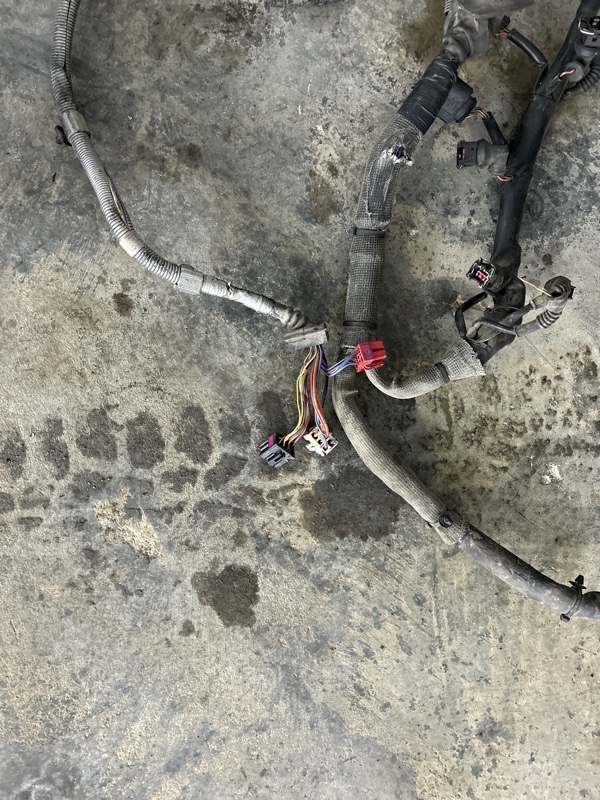 Проводка двигателя Volkswagen Touareg 2003 7L6