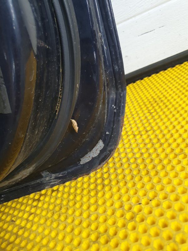 Дверь Ford Focus 2006 2