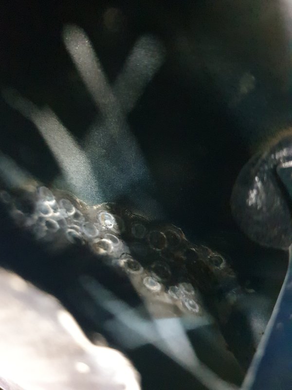 Крышка багажника Ford Focus 2006 2