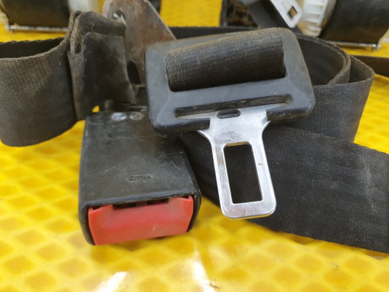 Ремень безопасности Ford Focus 2006 2