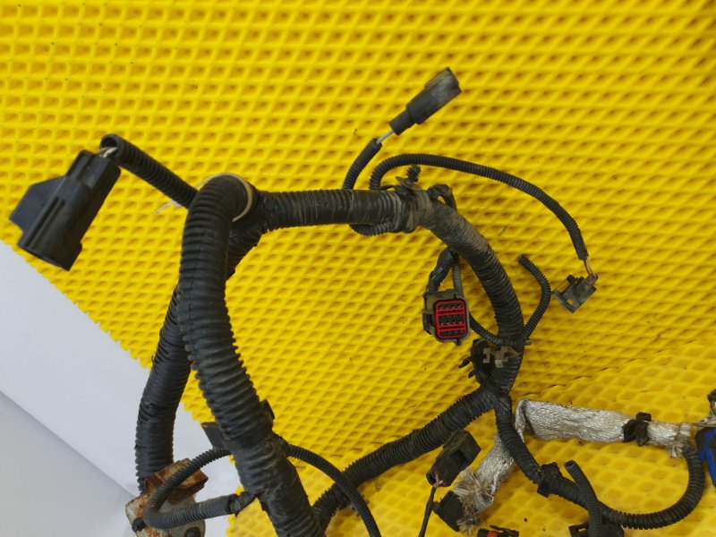 Проводка двигателя Ford Focus 2006 2