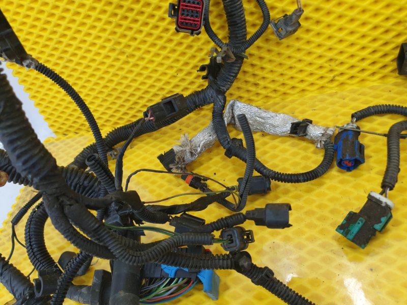 Проводка двигателя Ford Focus 2006 2