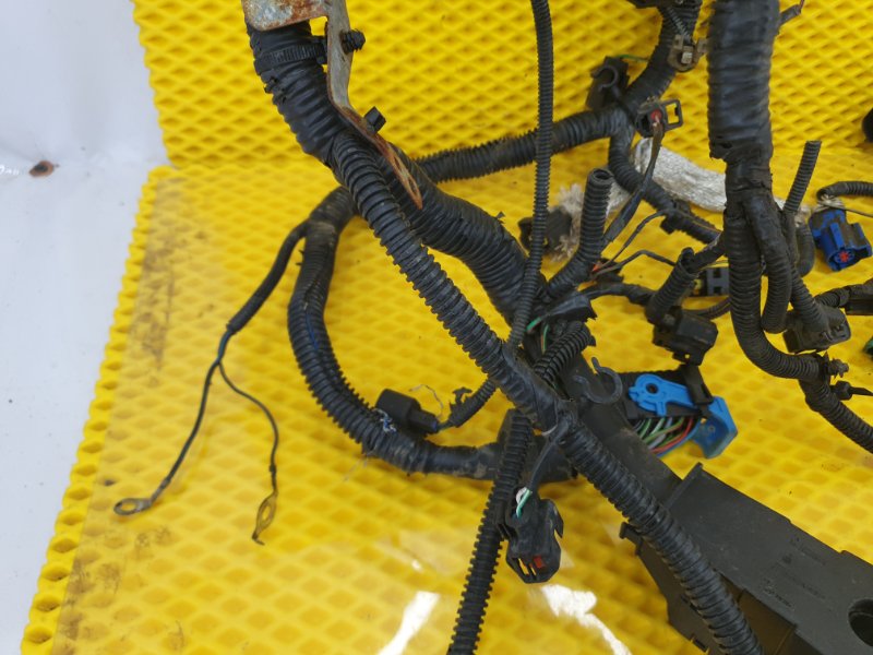 Проводка двигателя Ford Focus 2006 2