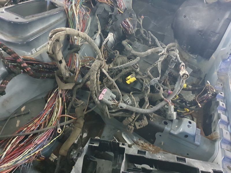 Проводка салона (жгут проводов) Volkswagen Phaeton 2005 3D2