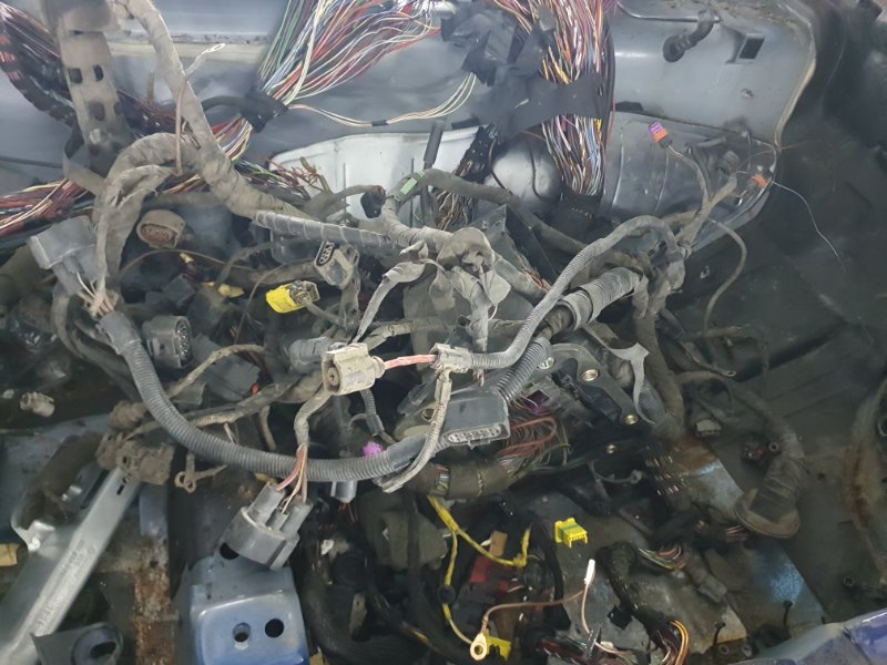 Проводка салона (жгут проводов) Volkswagen Phaeton 2005 3D2