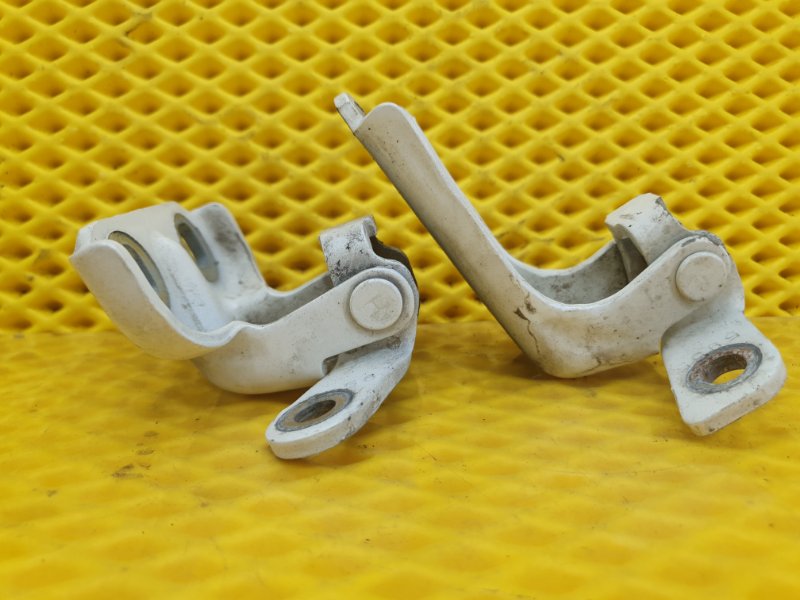 Петля двери Cadillac CTS 2008 II