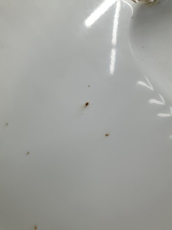 Дверь Mercedes-Benz E-Class 15.04.1998 W210