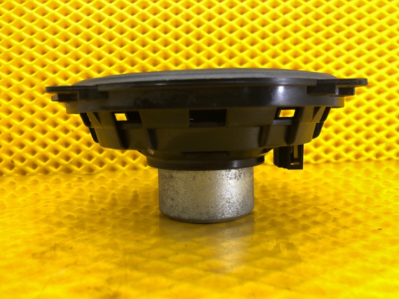 Динамик двери Volkswagen Phaeton 2005 3D2