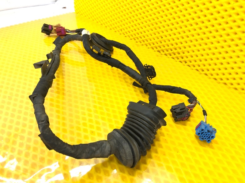 Жгут проводов двери Volkswagen Phaeton 2005 3D2