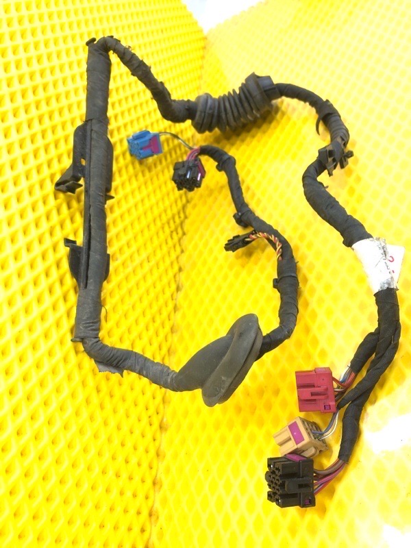 Проводка двери Volkswagen Phaeton 2005 3D2