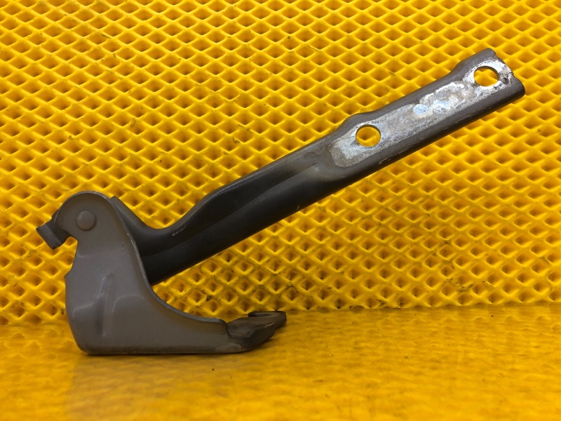 Петля капота правая Volkswagen Tiguan