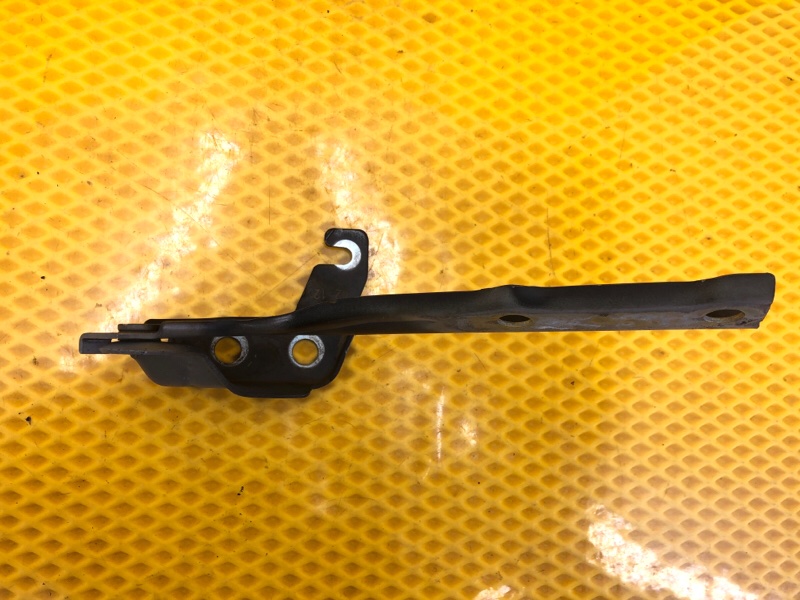 Петля капота правая Volkswagen Tiguan