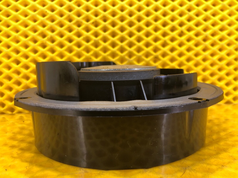 Динамик двери задней Volkswagen Tiguan