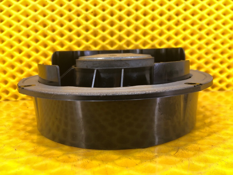 Динамик двери задней Volkswagen Tiguan