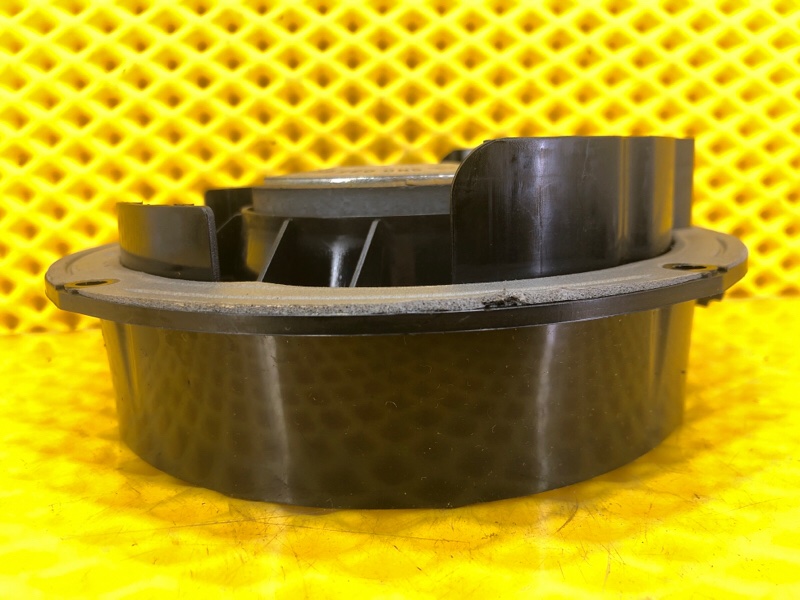 Динамик двери задней Volkswagen Tiguan