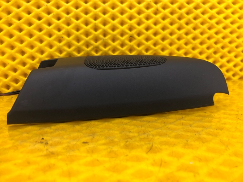 Динамик двери передней Volkswagen Tiguan