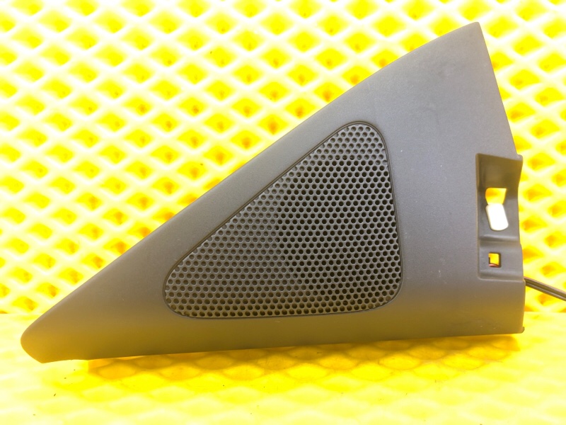 Динамик передний Volkswagen Tiguan