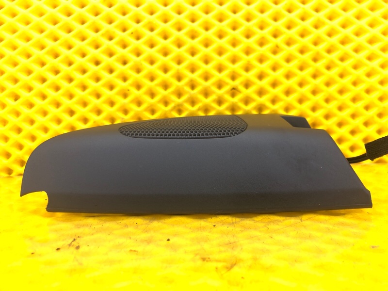 Динамик передний Volkswagen Tiguan