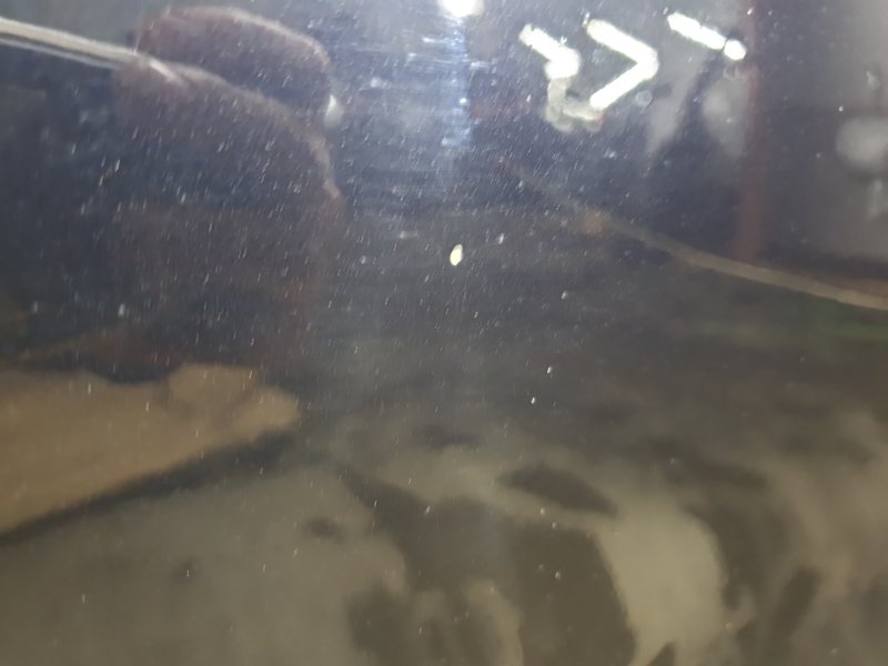 Дверь Volkswagen Tiguan 2013 5N1