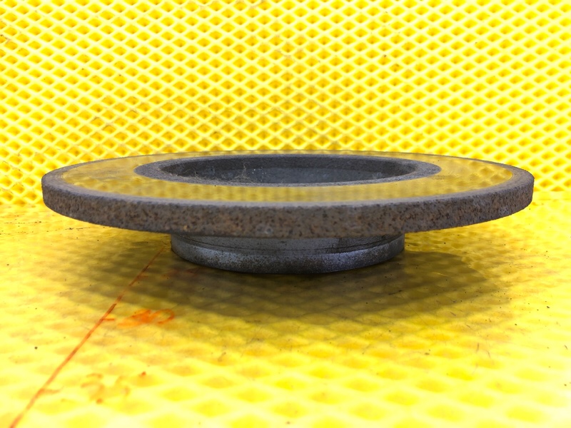 Диск тормозной задний Volkswagen Tiguan 2013 5N1