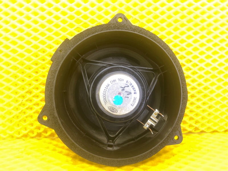 Динамик двери KAIYI E5 2024 GS11