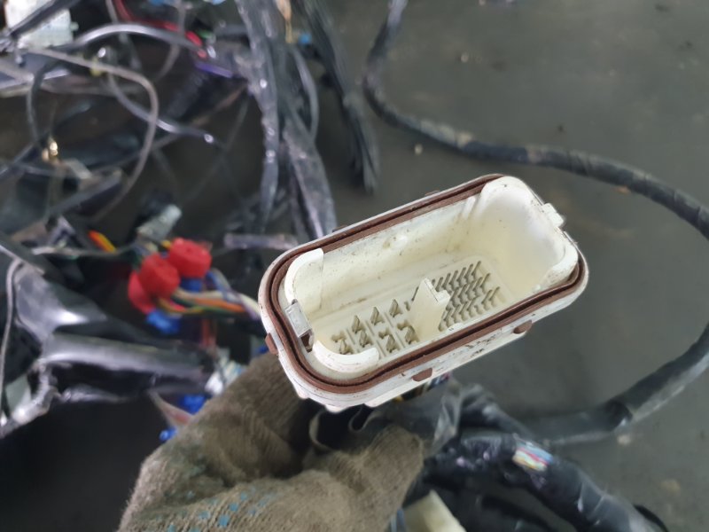 Проводка салона (жгут проводов) Nissan Fuga 2007 Y50