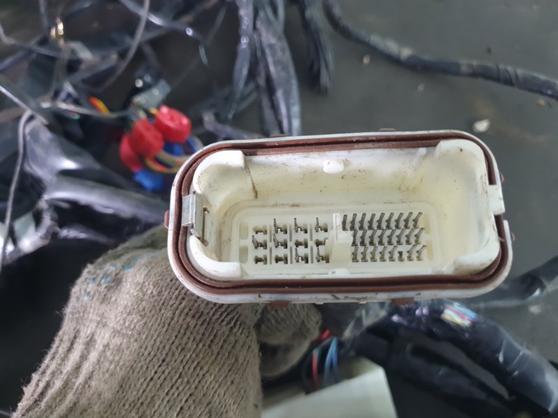 Проводка салона (жгут проводов) Nissan Fuga 2007 Y50