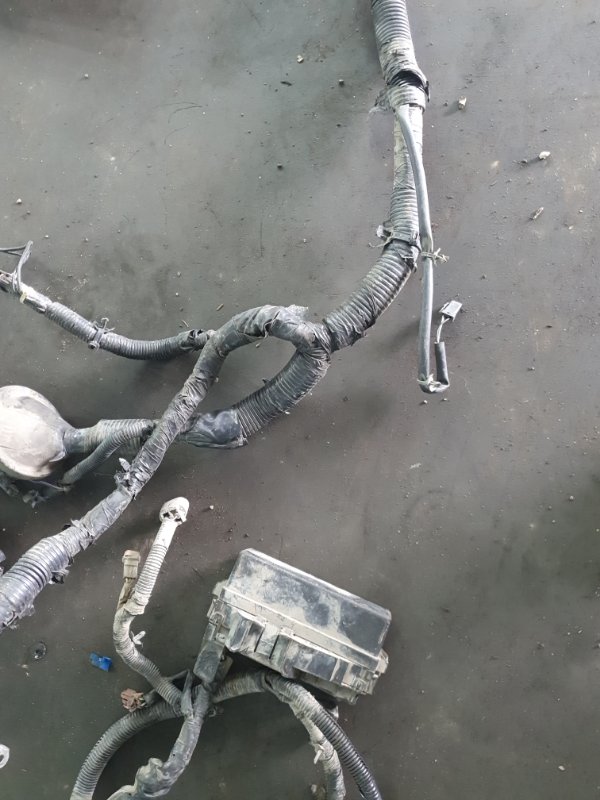 Проводка подкапотная Nissan Fuga 2007 Y50