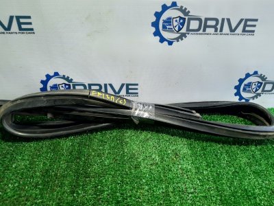 Уплотнитель стекла двери Ford Focus 1