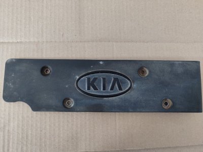 Декоративная крышка двигателя Kia Rio 2012 3