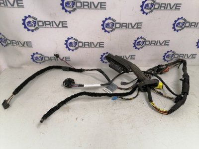 Проводка двери BMW E60
