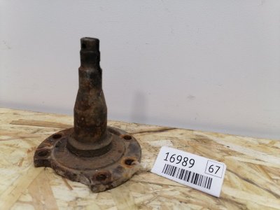 Цапфа ( ось ) VAG