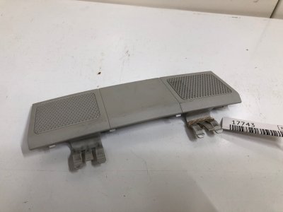 Плафон салона Volkswagen Passat B6