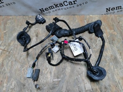 Проводка двери FORD FOCUS 2 РЕСТАЙЛИНГ 2010 Хэтчбек