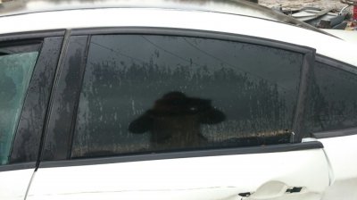 Стекло двери Citroen C5 2008