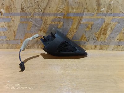Динамики ВЧ Volkswagen Passat R Line 2010 B6