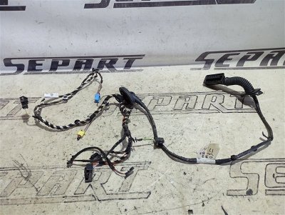 Проводка двери Volkswagen Passat B8