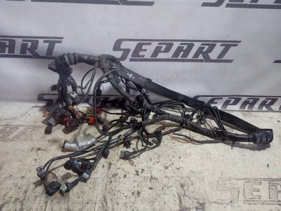 Проводка двигателя Volkswagen Passat 2002 B5