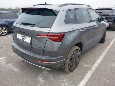 Skoda Karoq 2.0 DNNA 2024 Skoda Karoq 2024