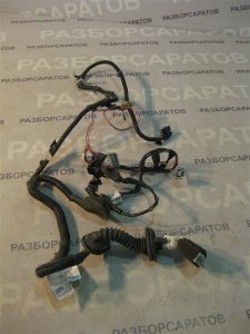 Проводка двери Nissan Primera P12 2004 седан