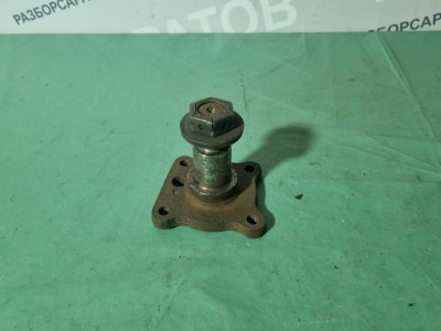 Цапфа Ford Fiesta 2007 хэтчбек 5 дв.