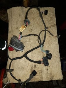 Жгут проводов двери Volkswagen PASSAT B5