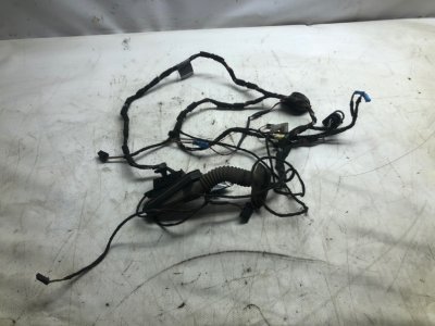 Проводка двери BMW X5 2007 E70